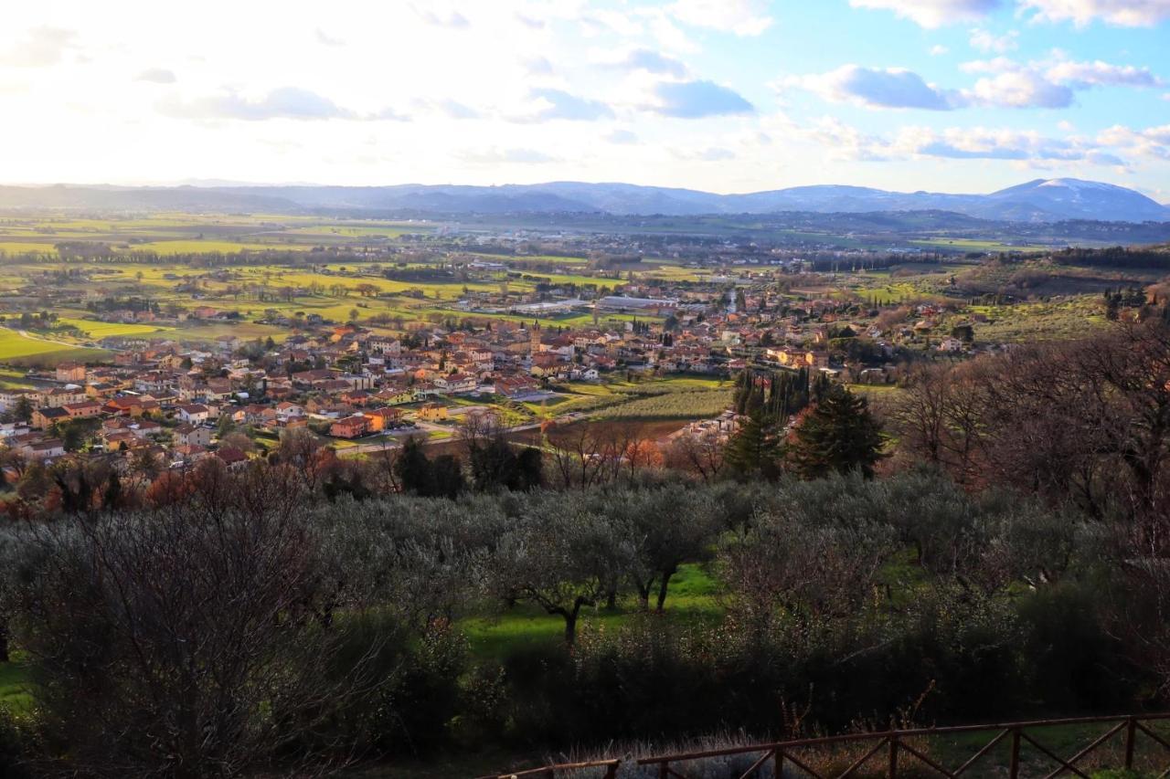 Villa Clara Assisi Bagian luar foto